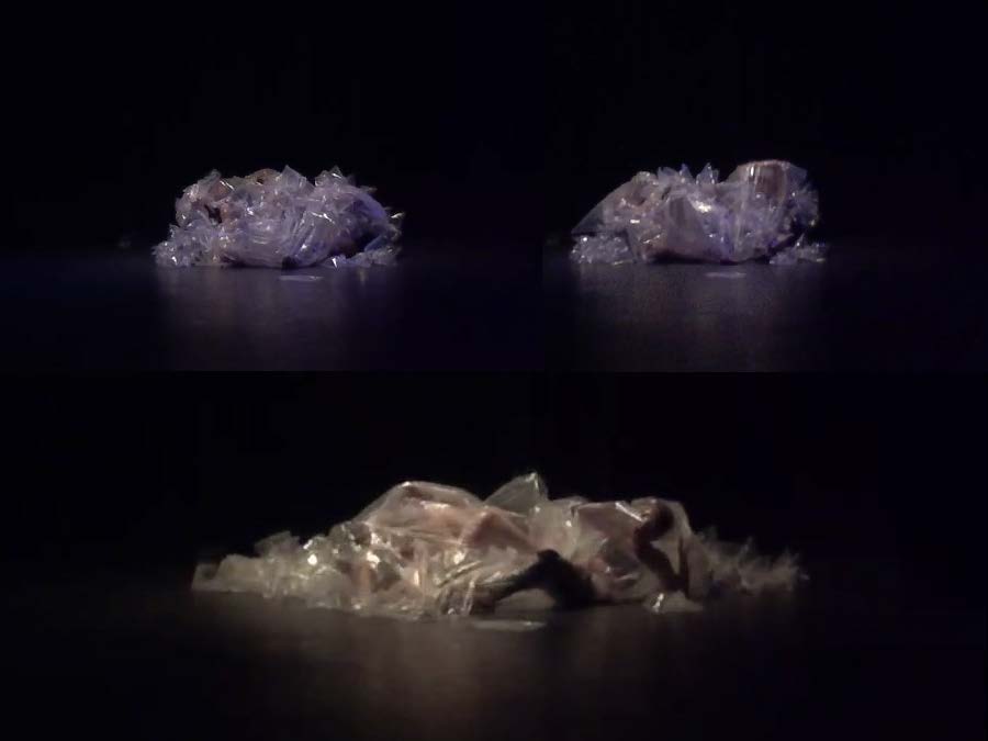 ECDYSIS_2